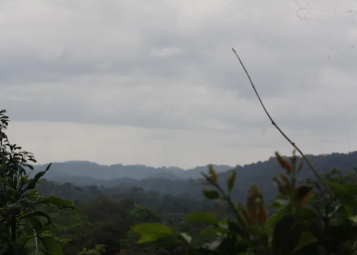 Coorg Misty Vintage Stay