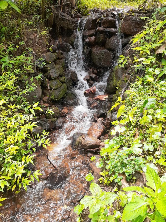 Coorg Misty Vintage * Madikeri