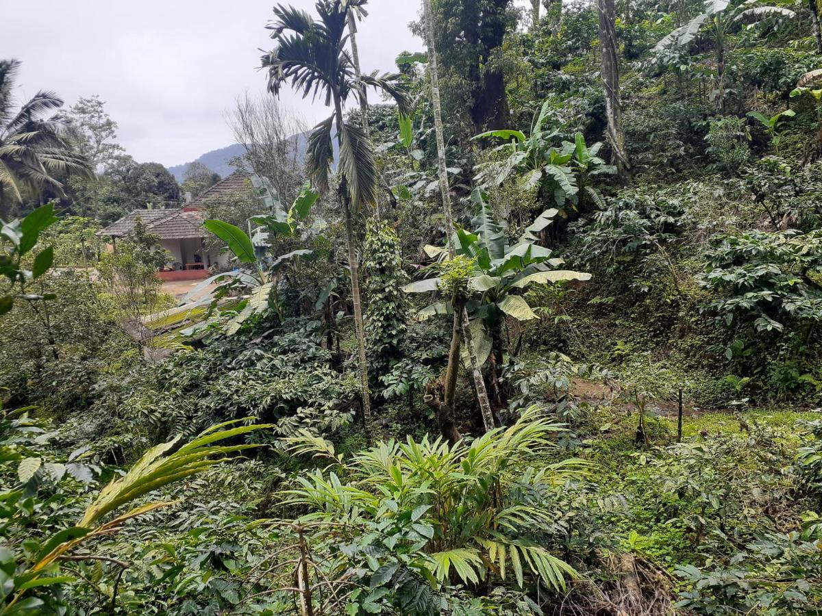 Coorg Misty Vintage Madikeri