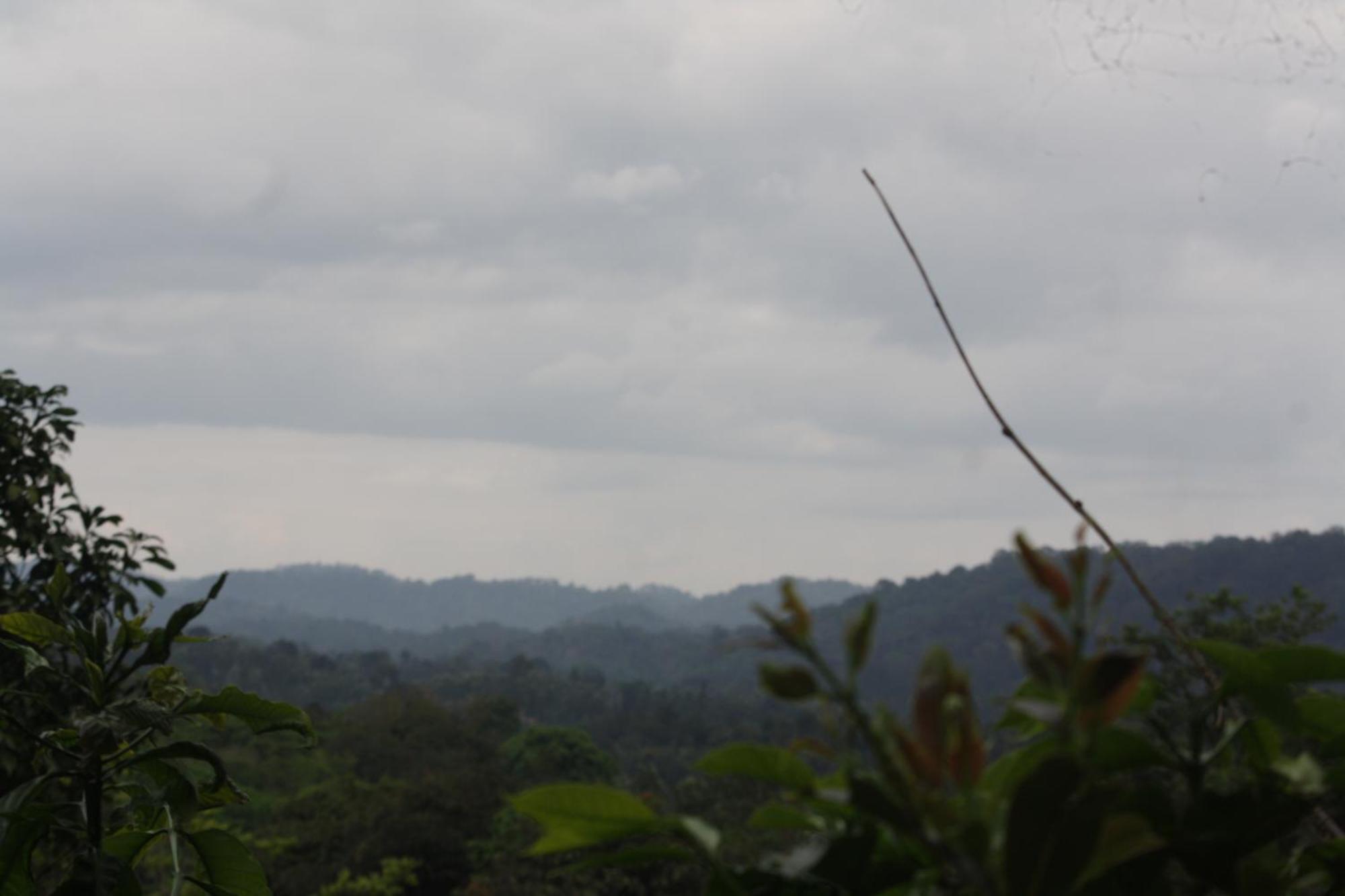 Coorg Misty Vintage *